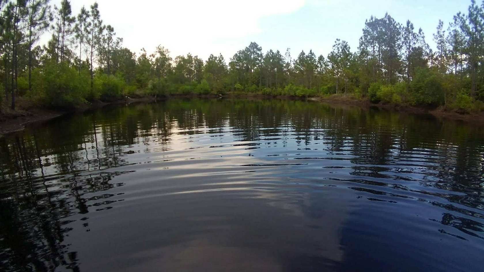3.54 Acres of Residential Land for Sale in Crawfordville, Florida