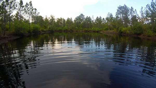 3.54 Acres of Residential Land for Sale in Crawfordville, Florida