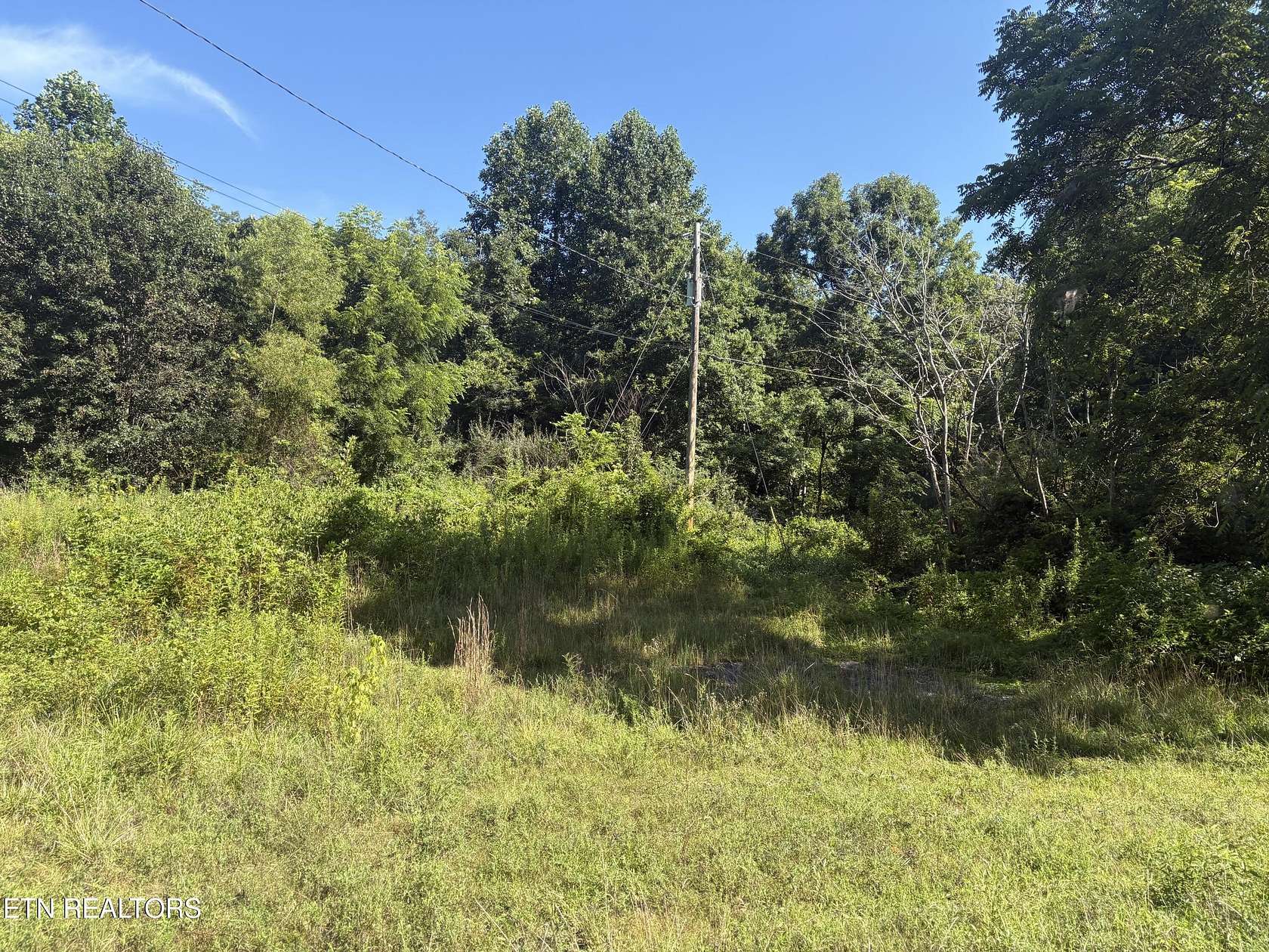 11.2 Acres of Land for Sale in Lancing, Tennessee