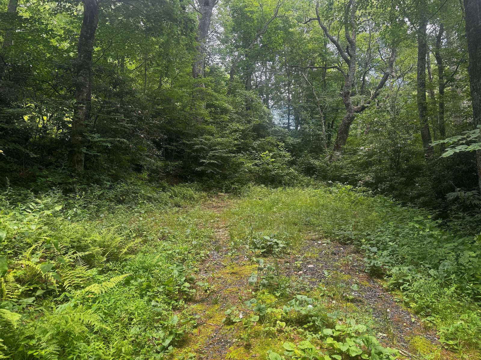 0.94 Acres of Land for Sale in Newland, North Carolina