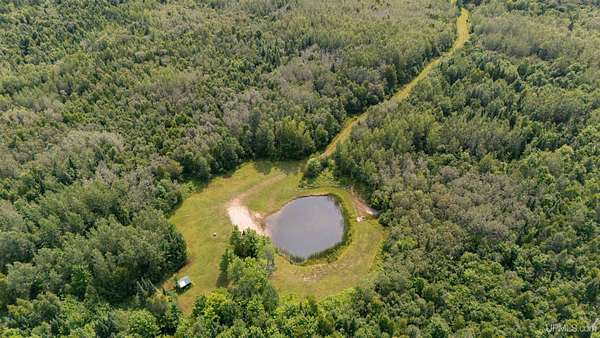 34.8 Acres of Recreational & Residential Land for Sale in Gulliver, Michigan