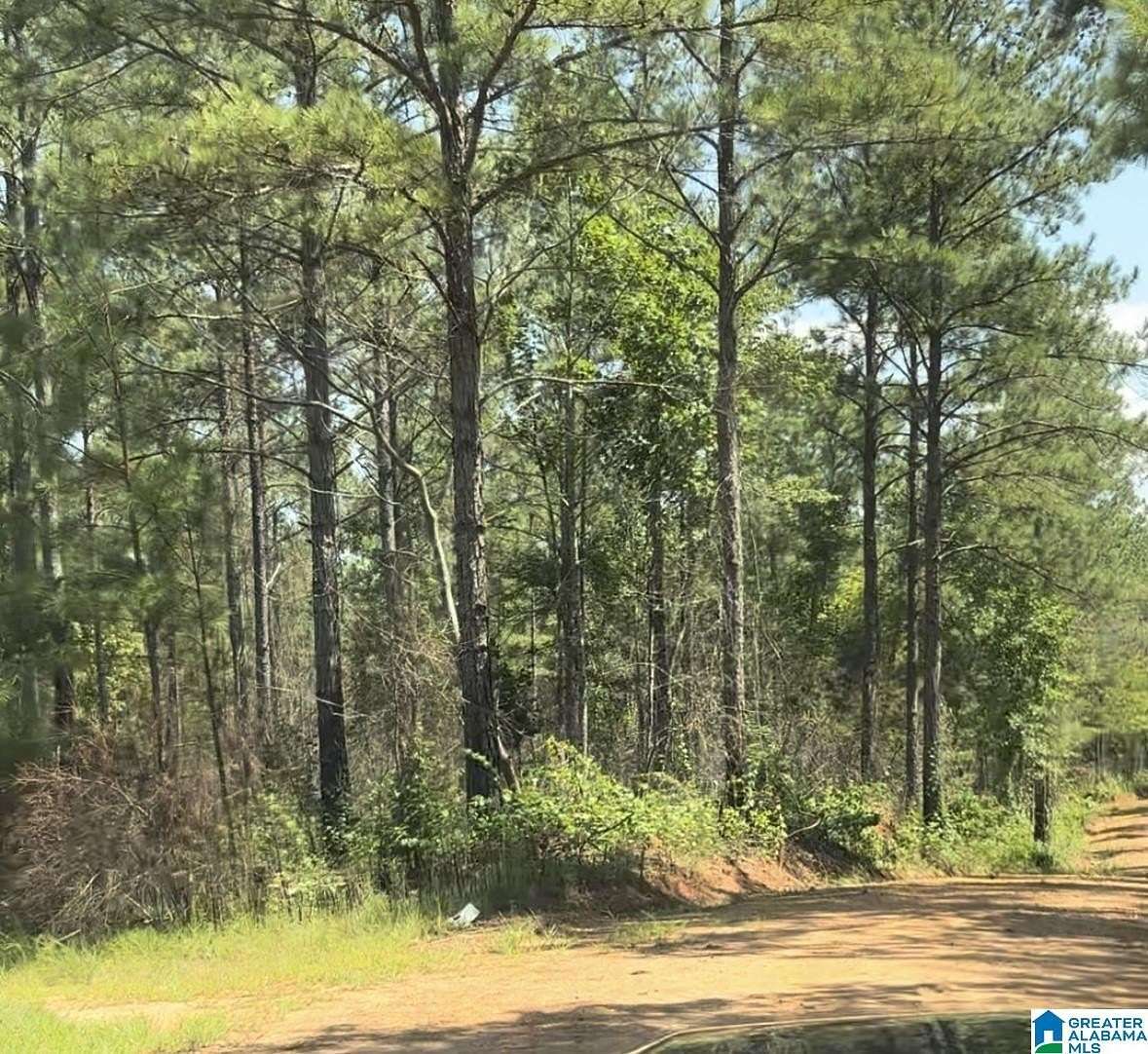 20 Acres of Land for Sale in Wadley, Alabama
