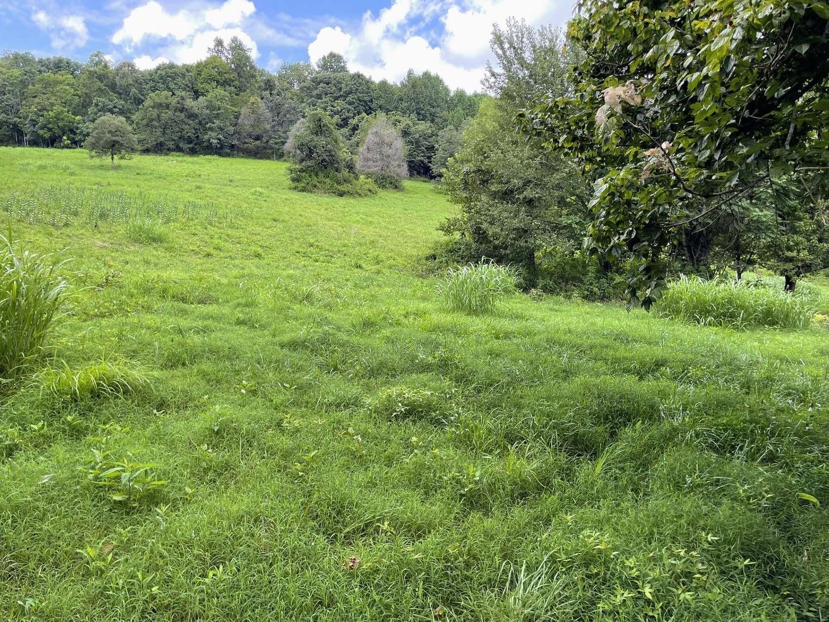 2 Acres of Residential Land for Sale in Cumberland Furnace, Tennessee