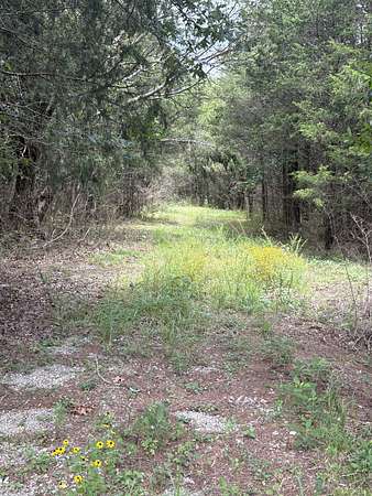 40.1 Acres of Land for Sale in Lewisburg, Tennessee
