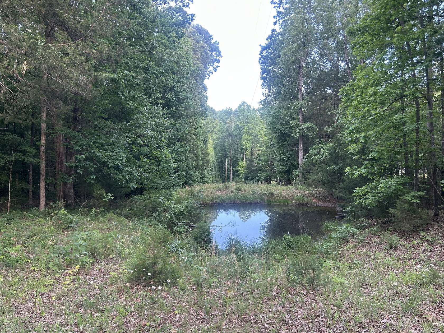 8 Acres of Residential Land for Sale in Erin, Tennessee