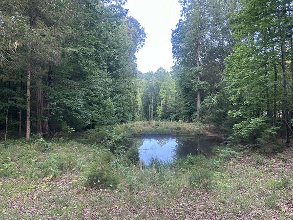 8 Acres of Residential Land for Sale in Erin, Tennessee