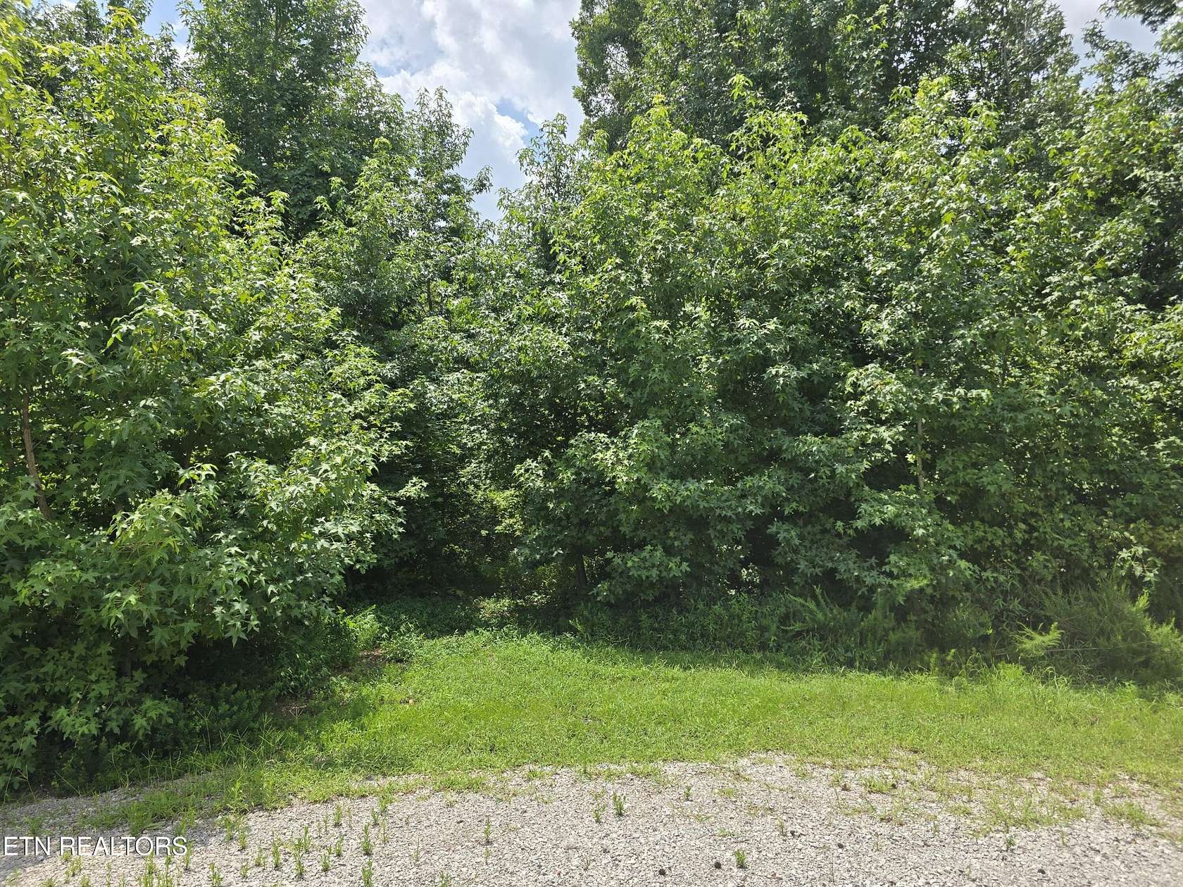 5.82 Acres of Residential Land for Sale in Rockwood, Tennessee