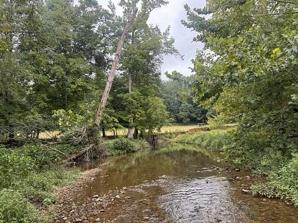 37.4 Acres of Land for Sale in Dover, Tennessee