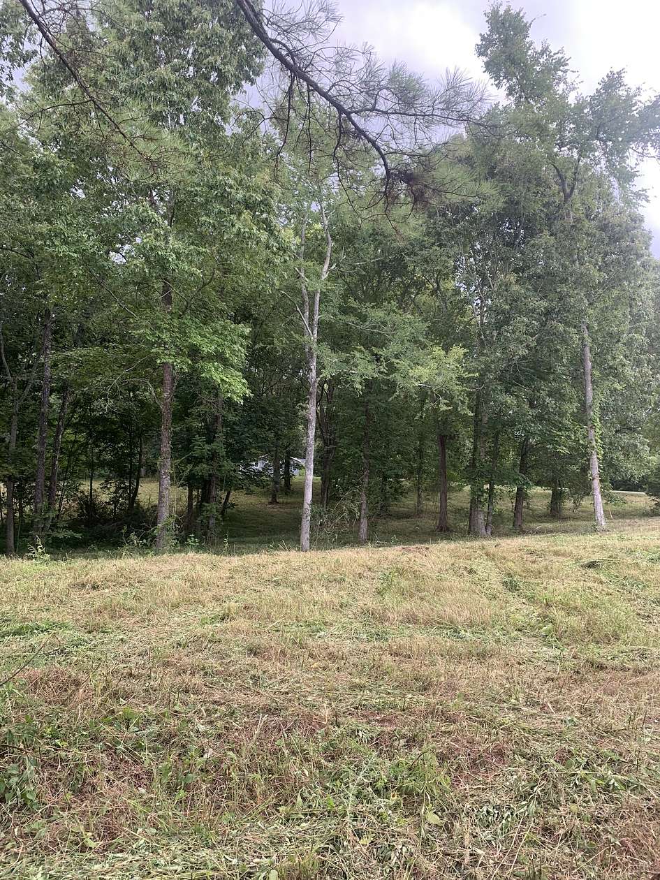 11 Acres of Recreational & Residential Land for Sale in Sardis, Tennessee