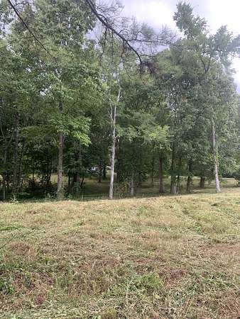 11 Acres of Recreational & Residential Land for Sale in Sardis, Tennessee