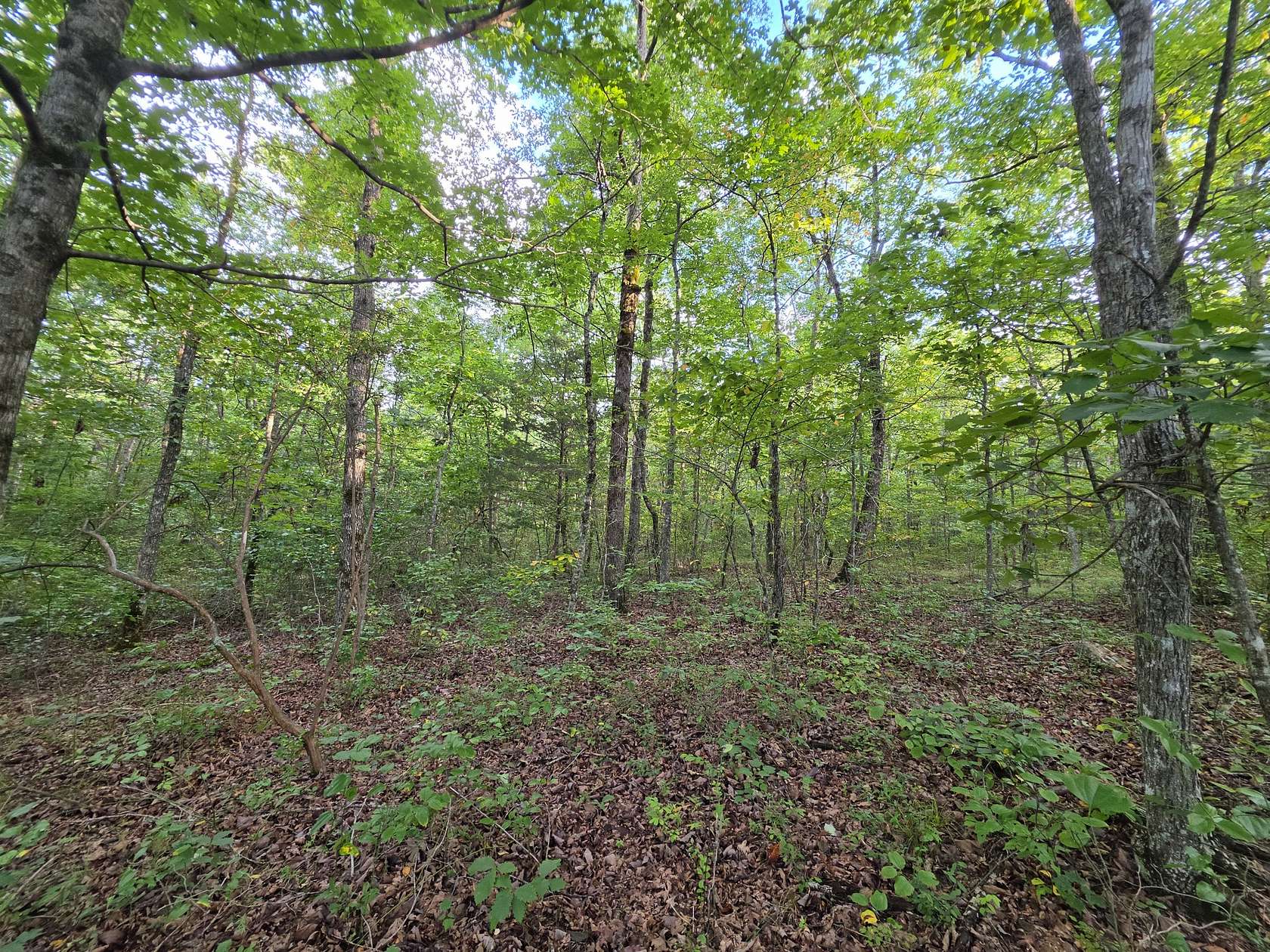 6.5 Acres of Residential Land for Sale in Altamont, Tennessee