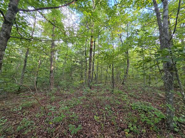 6.5 Acres of Residential Land for Sale in Altamont, Tennessee