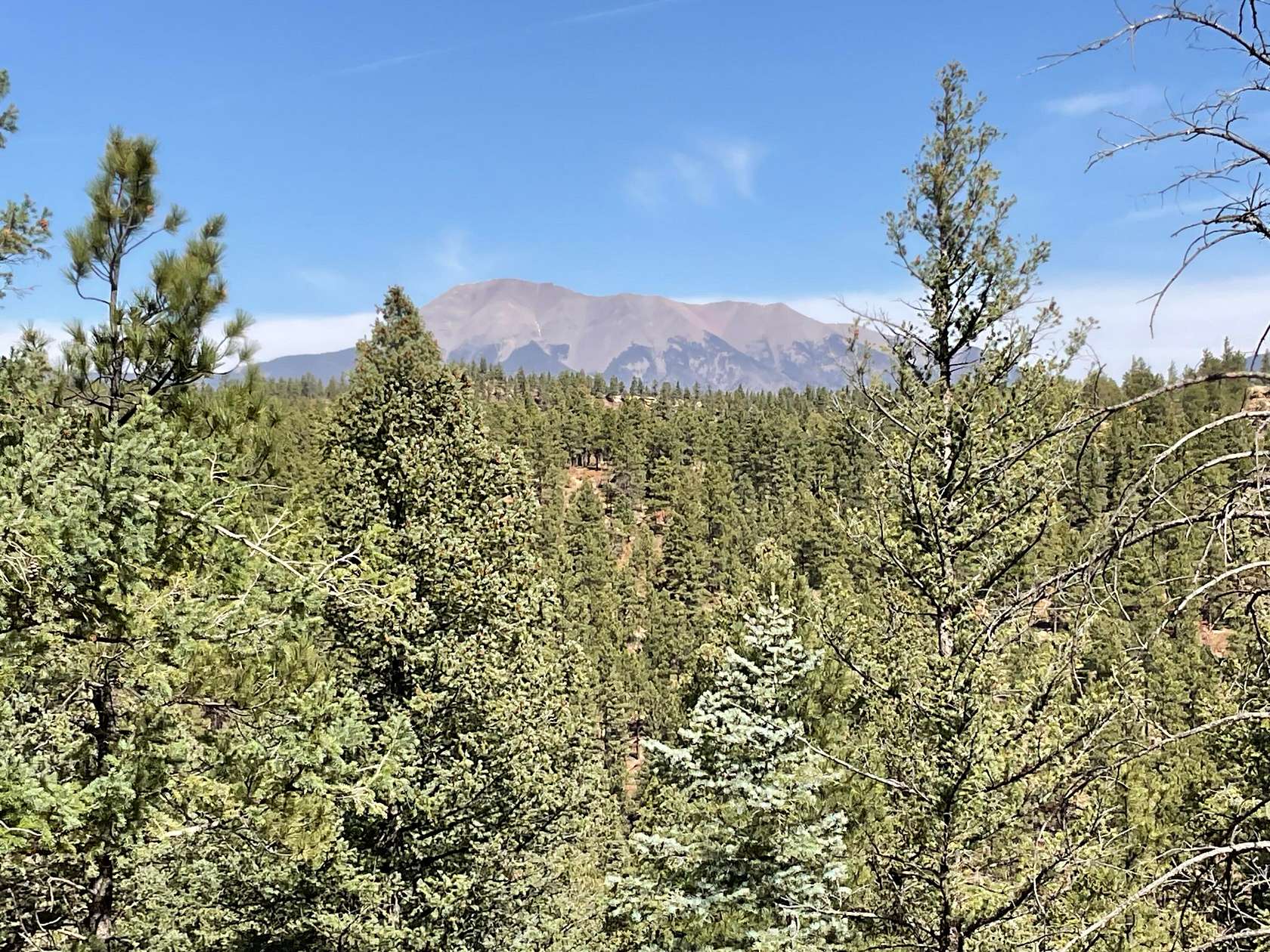 160 Acres of Land for Sale in Weston, Colorado