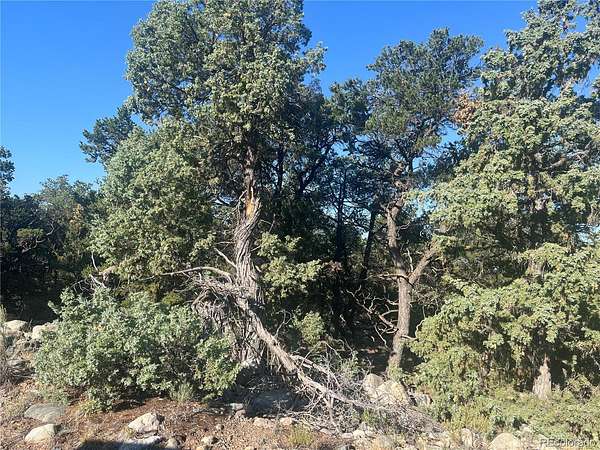 1 Acre of Residential Land for Sale in Crestone, Colorado