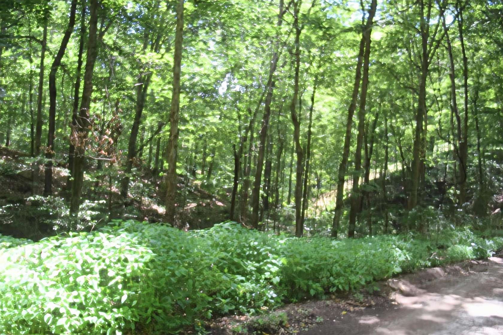 5 Acres of Residential Land for Sale in Bedford, Indiana