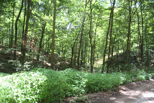 5 Acres of Residential Land for Sale in Bedford, Indiana