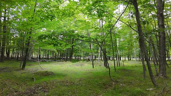 10 Acres of Residential Land for Sale in Fish Creek, Wisconsin