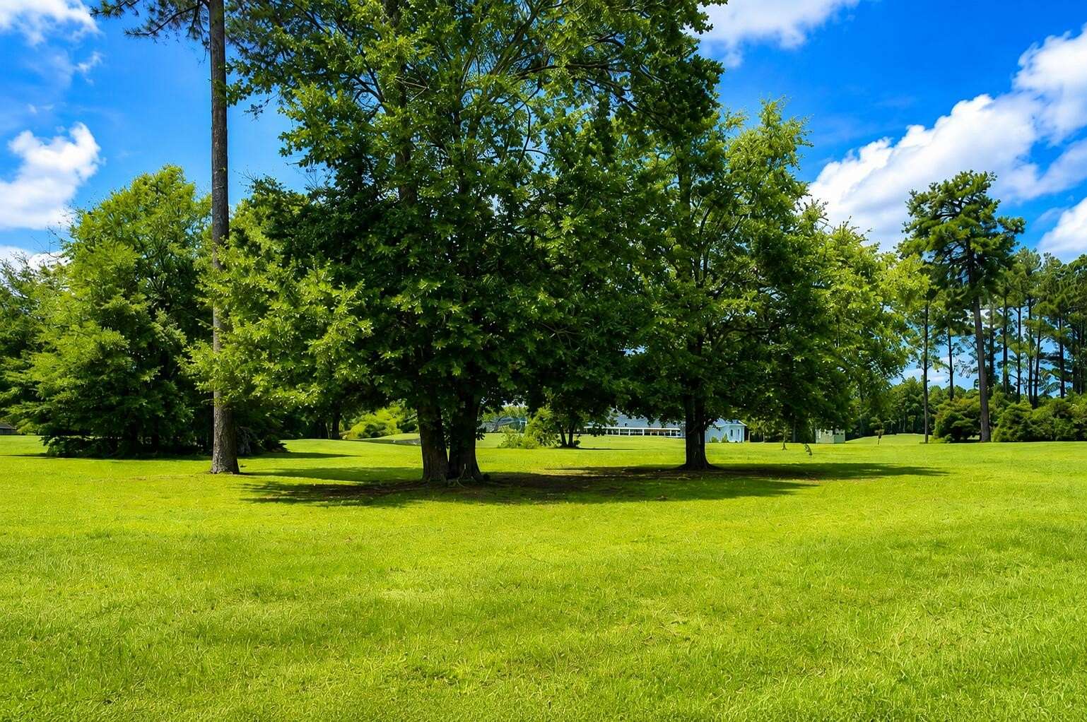 0.5 Acres of Residential Land for Sale in Manning, South Carolina