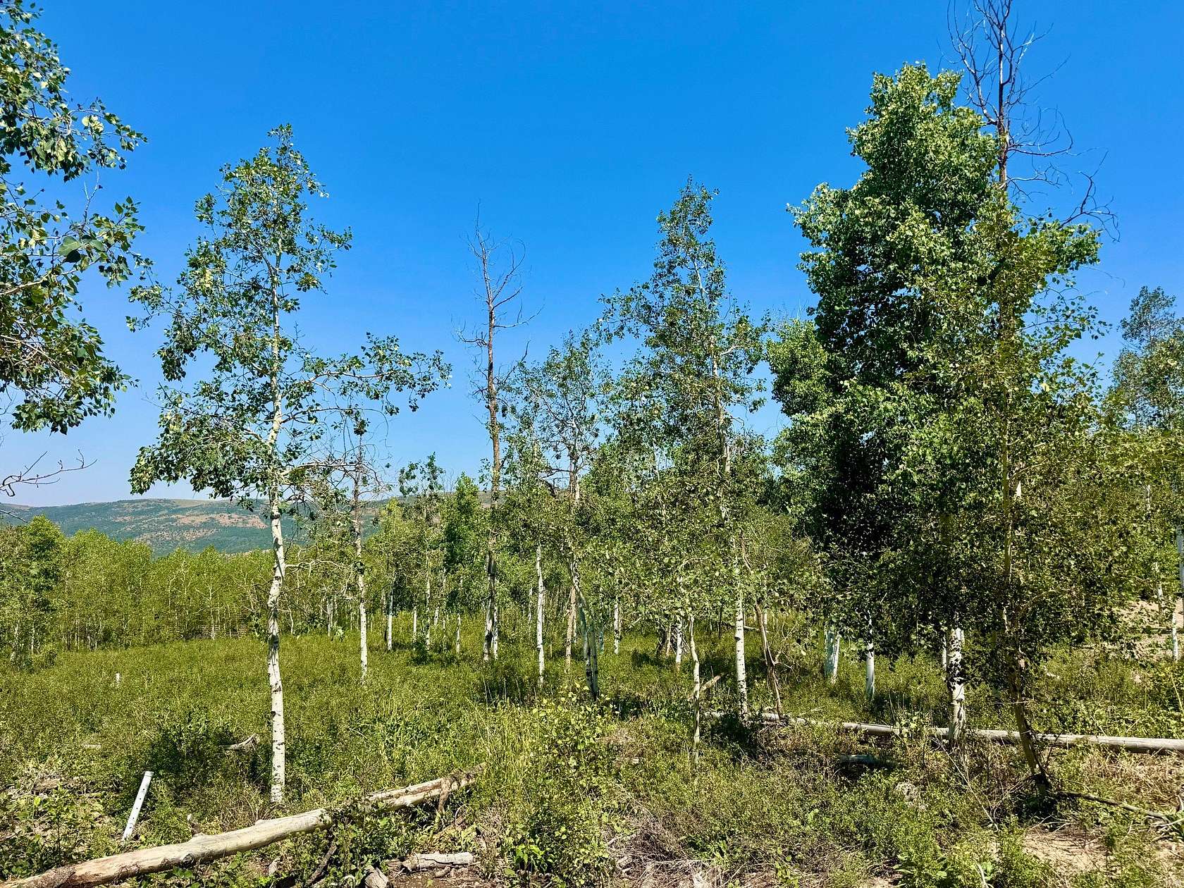1 Acre of Residential Land for Sale in Heber City, Utah