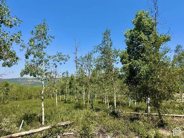 1 Acre of Residential Land for Sale in Heber City, Utah