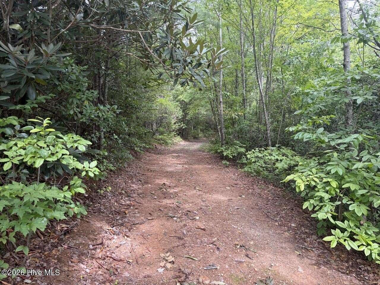 14 Acres of Land for Sale in Andrews, North Carolina