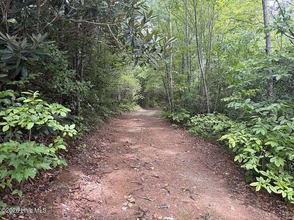 14 Acres of Land for Sale in Andrews, North Carolina