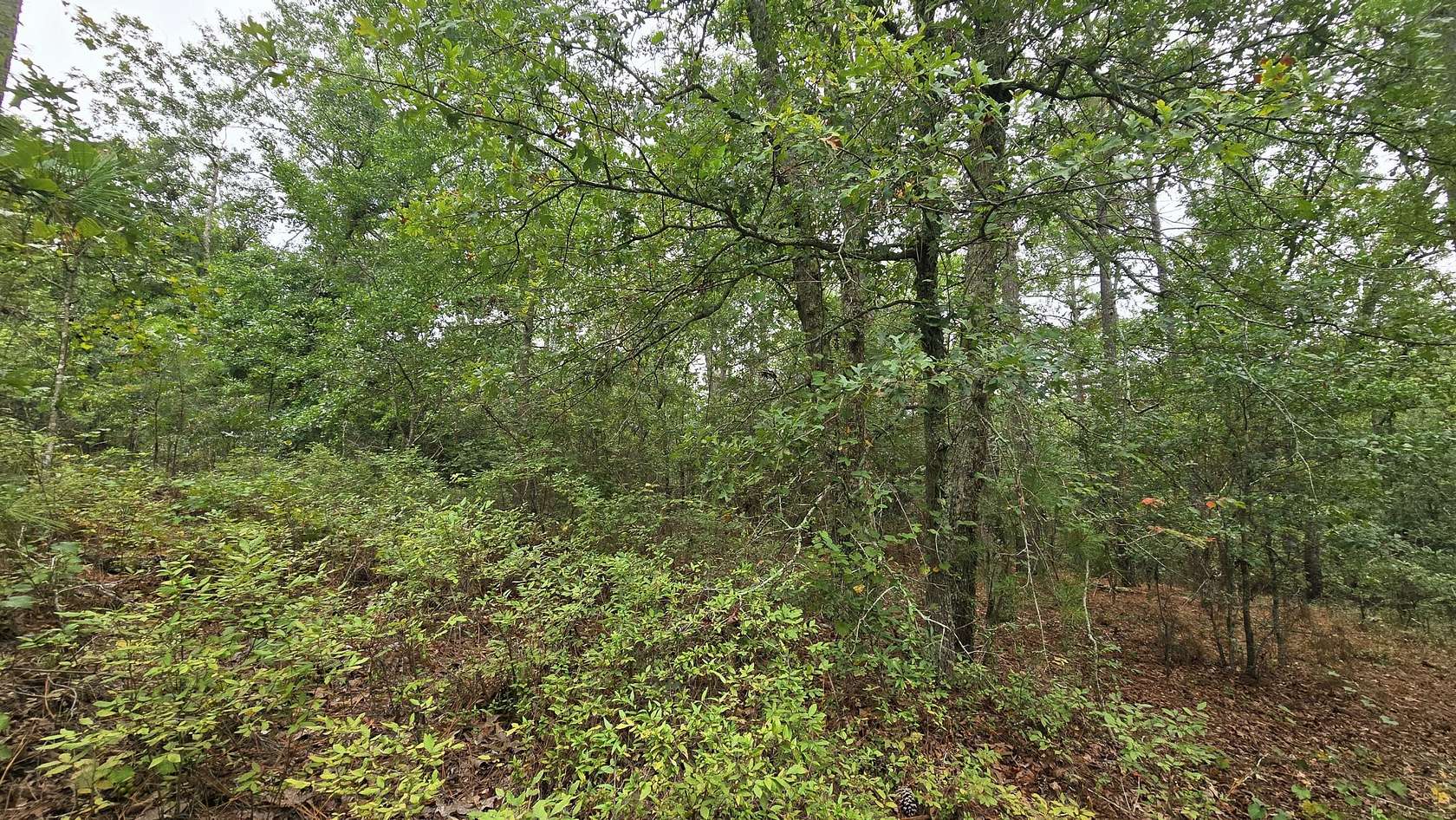 2 Acres of Residential Land for Sale in Aiken, South Carolina