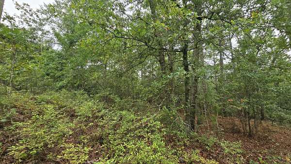 2 Acres of Residential Land for Sale in Aiken, South Carolina