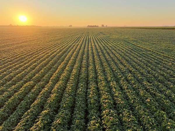 30.3 Acres of Land for Sale in Aplington, Iowa
