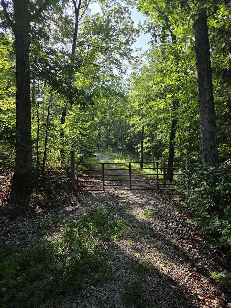 74 Acres of Recreational & Residential Land for Sale in Monticello, Kentucky