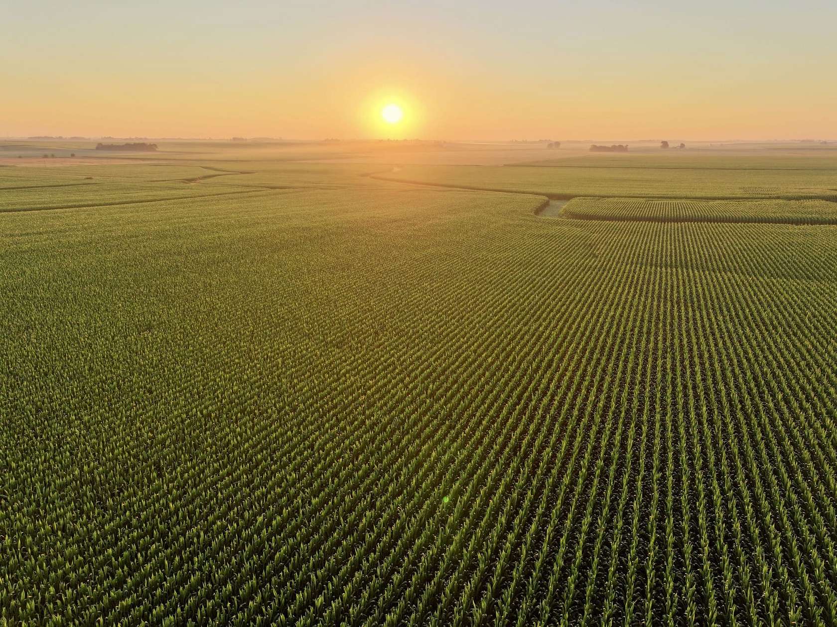 107 Acres of Land for Sale in Aplington, Iowa