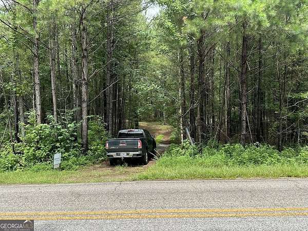 9.3 Acres of Land for Sale in Franklin, Georgia