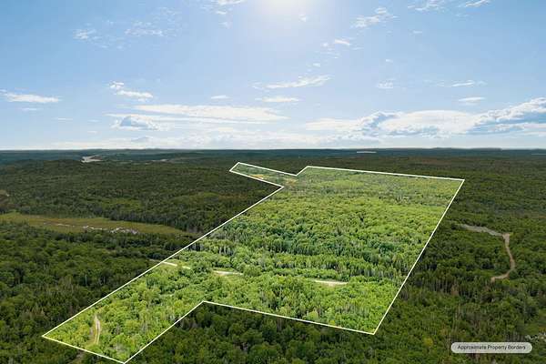 190 Acres of Recreational & Residential Land for Sale in Machiasport, Maine
