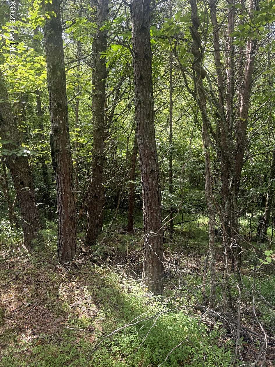 2 Acres of Residential Land for Sale in Murphy, North Carolina