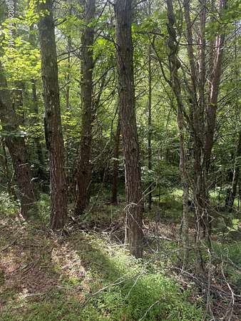 2 Acres of Residential Land for Sale in Murphy, North Carolina