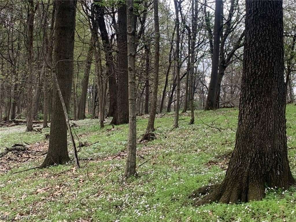 64.5 Acres of Land for Auction in Wellsville, Ohio