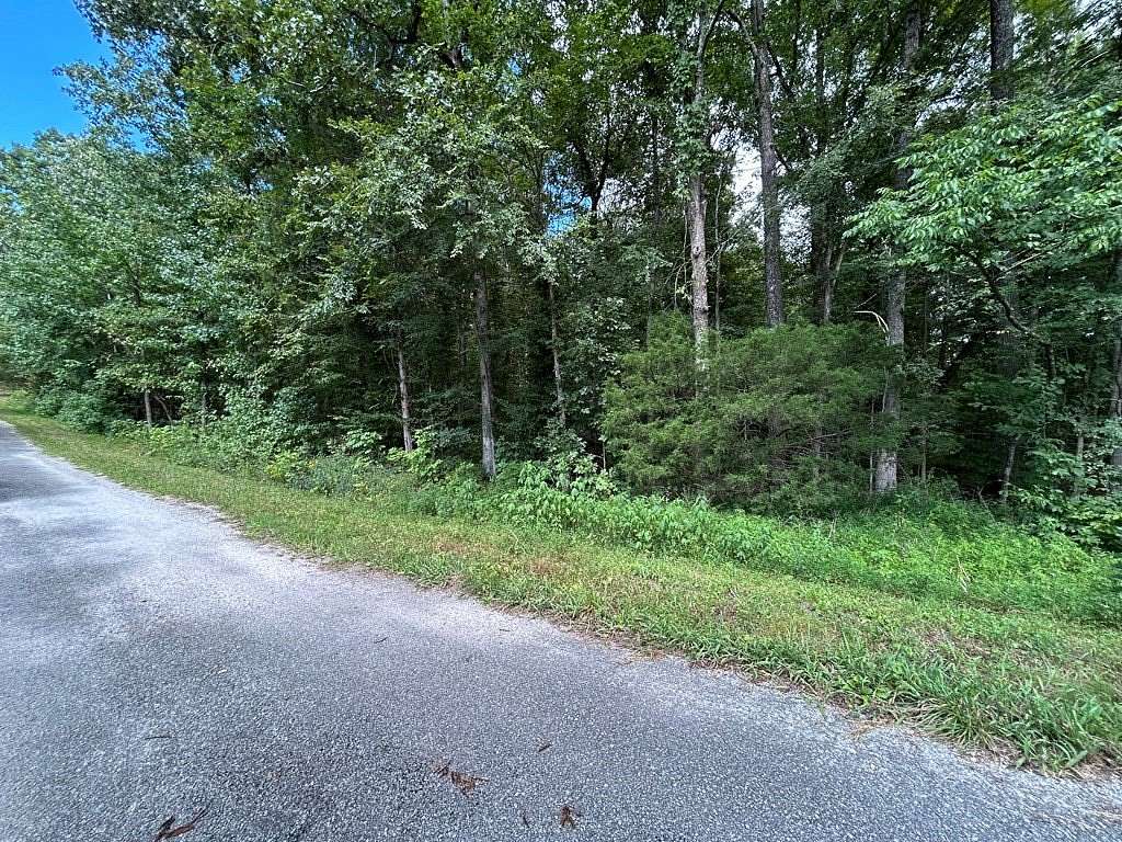 0.59 Acres of Residential Land for Sale in Big Sandy, Tennessee