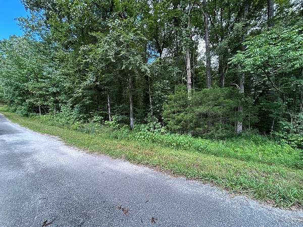 0.59 Acres of Residential Land for Sale in Big Sandy, Tennessee