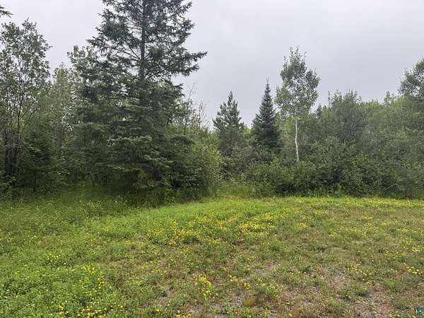 10 Acres of Recreational Land for Sale in Two Harbors, Minnesota