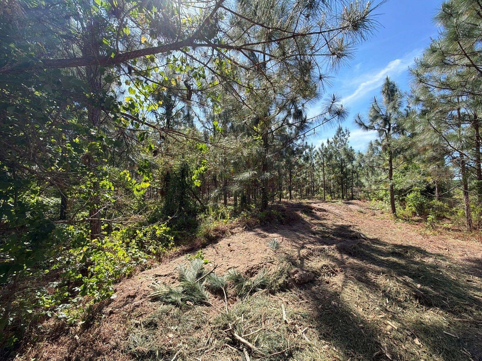 8.1 Acres of Residential Land for Sale in Wagener, South Carolina