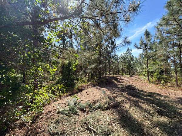 8.1 Acres of Residential Land for Sale in Wagener, South Carolina