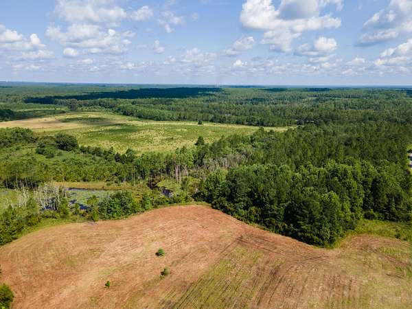 10 Acres of Land for Sale in DeFuniak Springs, Florida