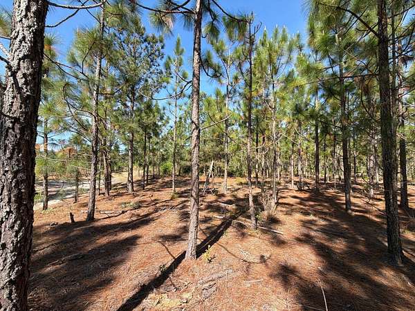 5.74 Acres of Residential Land for Sale in Wagener, South Carolina