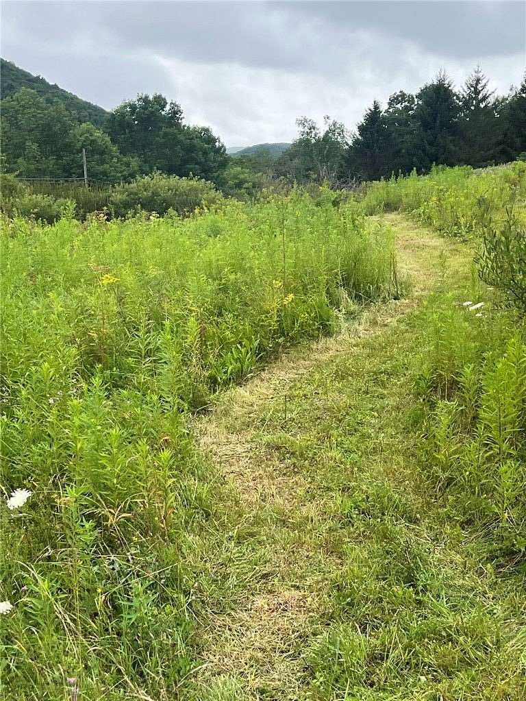 5.1 Acres of Land for Sale in Delhi, New York