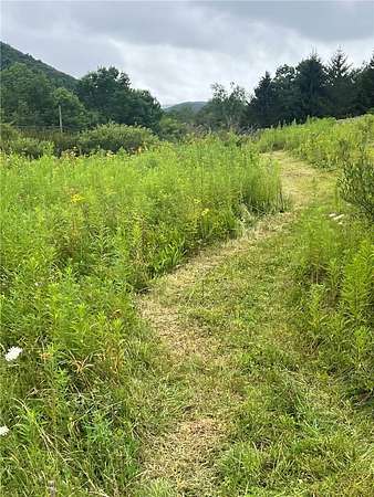 5.1 Acres of Land for Sale in Delhi, New York