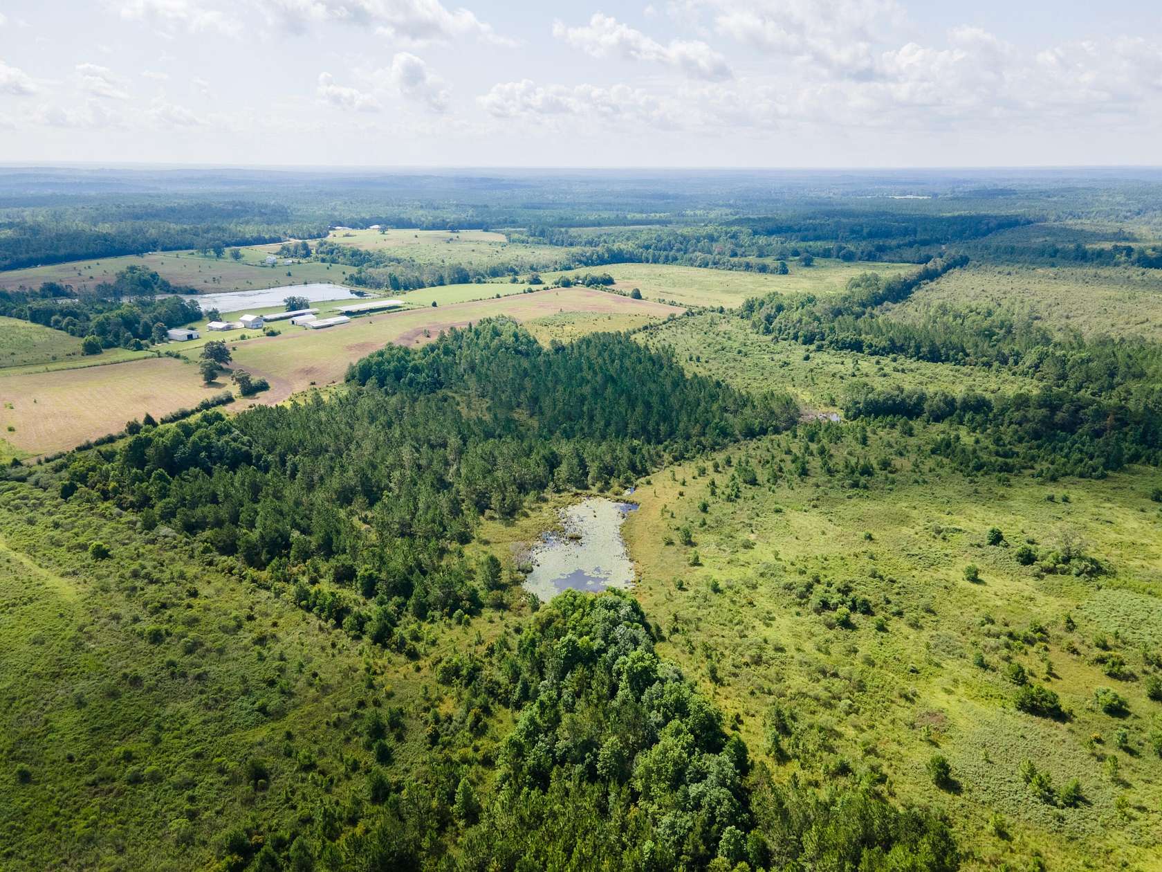 96 Acres of Recreational & Residential Land for Sale in DeFuniak Springs, Florida