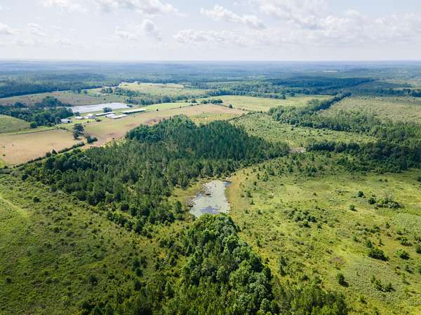 96 Acres of Recreational & Residential Land for Sale in DeFuniak Springs, Florida