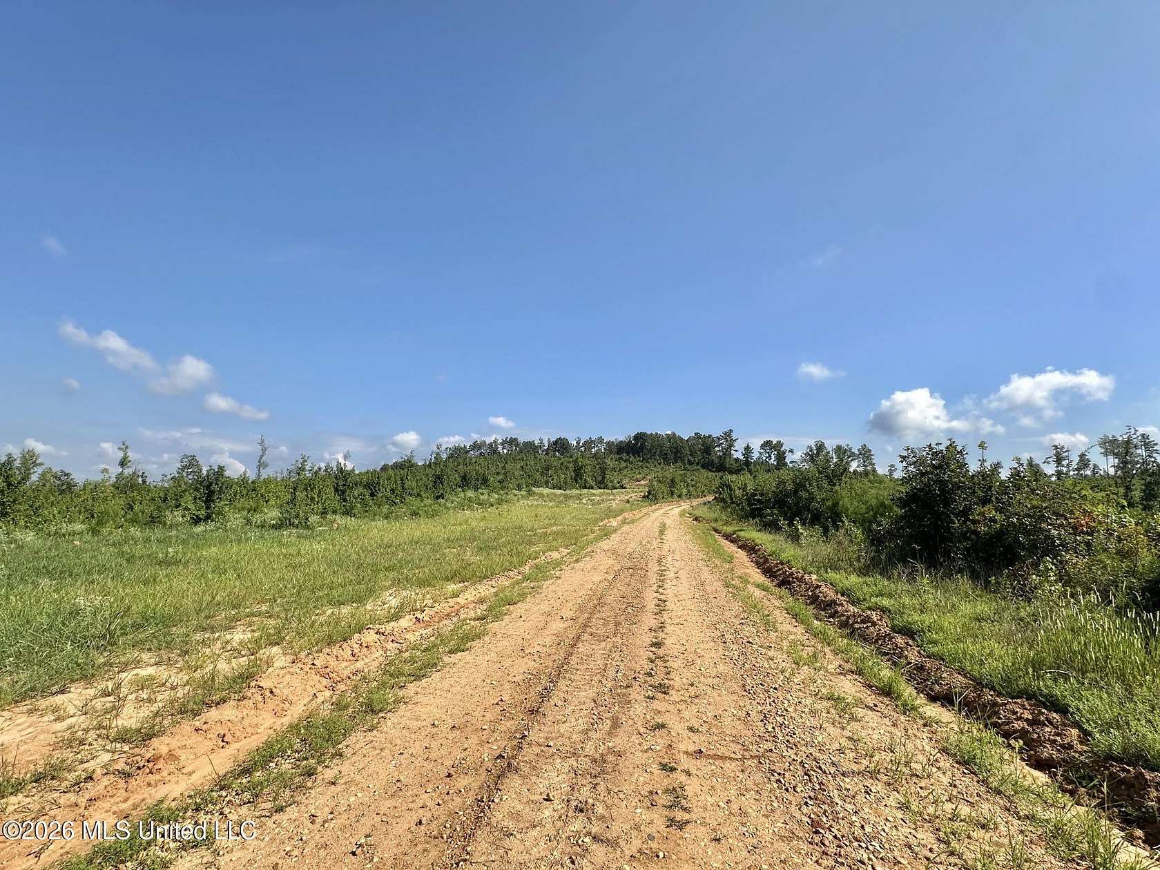 12 Acres of Land for Sale in Mantee, Mississippi