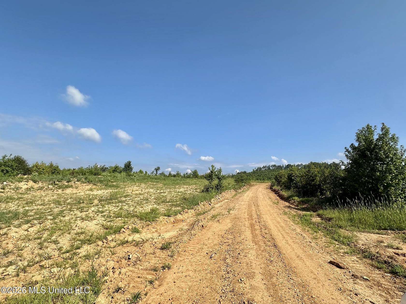 23 Acres of Recreational & Residential Land for Sale in Mantee, Mississippi