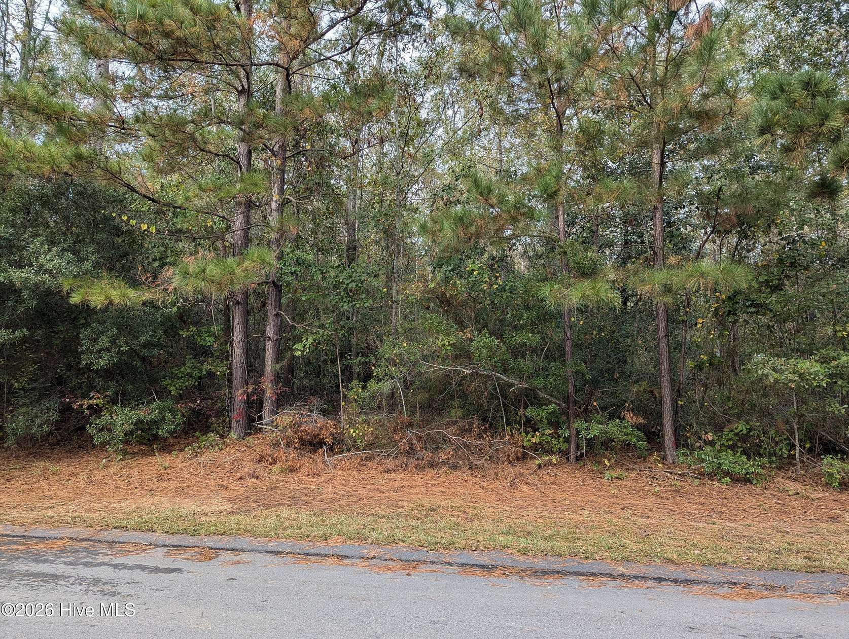 1.2 Acres of Residential Land for Sale in Graniteville, South Carolina